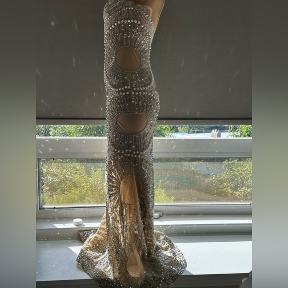 Custom Gown - Picture 10 of 12